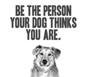 be-the-person-your-dog-thinks-you-are