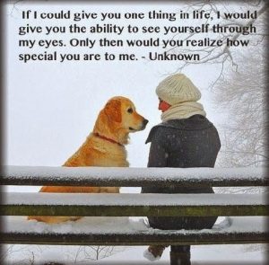 dog-quotes-2