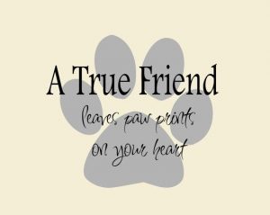 a-friend-quote